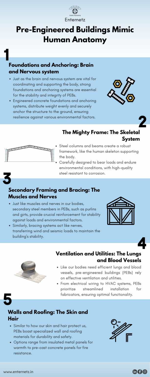 Infographic 5