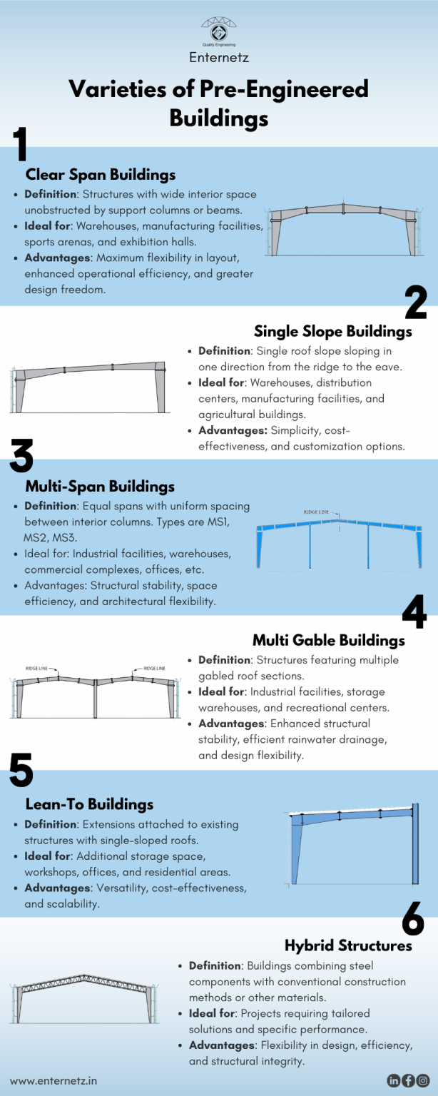 Infographic 6